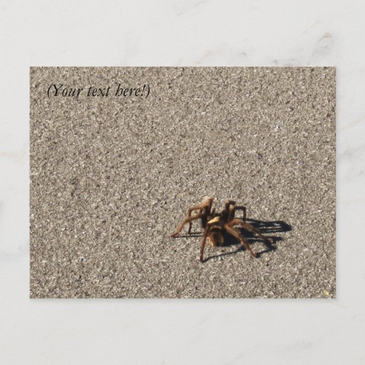 HuGe PiDeR II ポストカード (正面)