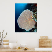 Huge Sea Fan in Siquijor ポスター (キッチン)