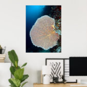 Huge Sea Fan in Siquijor ポスター (ホームオフィス)