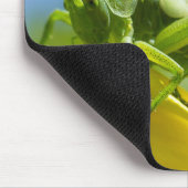 HUGO マウスパッド (コーナー)