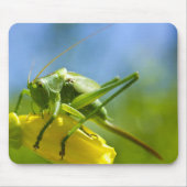 HUGO マウスパッド (正面)