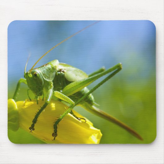 HUGO マウスパッド (正面)