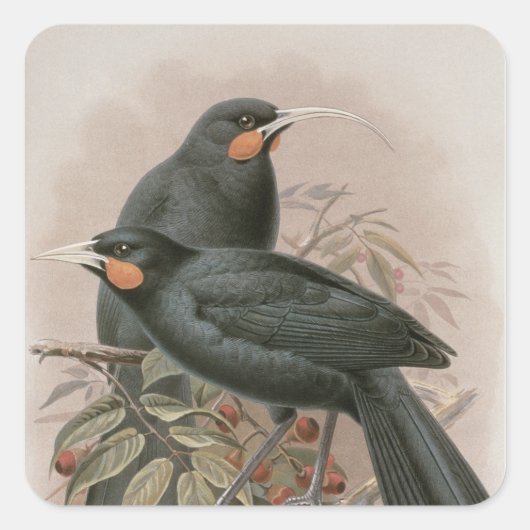 Huia スクエアシール (正面)
