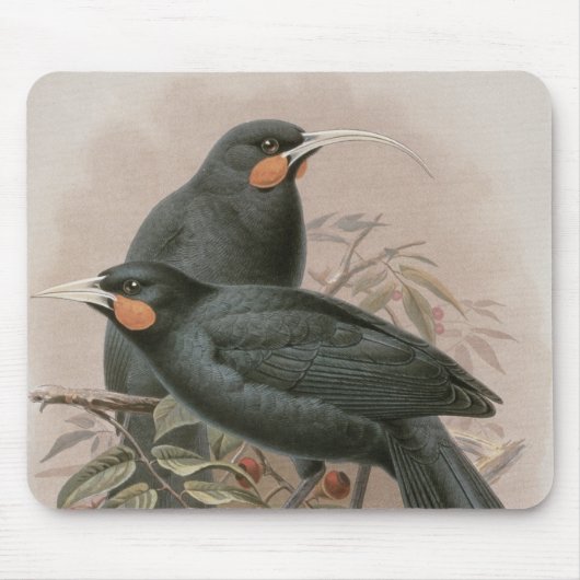 Huia マウスパッド (正面)