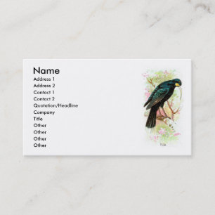 Huia 名刺