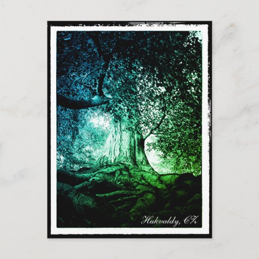 Hukvaldy – ビーチツリー、モラバ、チェコの葉書 ポストカード (正面)