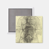 Human Anatomy, Female Torso by Leonardo da Vinci マグネット (正面/裏面)
