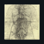 Human Anatomy, Female Torso by Leonardo da Vinci マグネット<br><div class="desc">Dissection of the Principle Organs of a Woman, female torso (c. 1510) by artist Leonardo da Vinci (1452-1519) is a vintage Renaissance Era fine art science painting. The Principal organs and vascular and urino-genital systems of a woman's body. Great design for someone in the medical field or a science geek....</div>