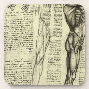 Human Anatomy Male Muscles by Leonardo da Vinci コースター