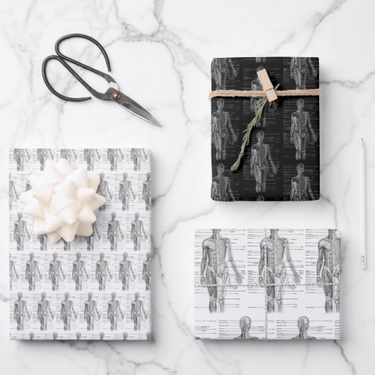 Human Anatomy Medical chart ラッピングペーパーシート (正面)