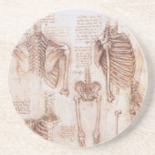 Human Anatomy Skeleton Bones by Leonardo da Vinci コースター (正面)
