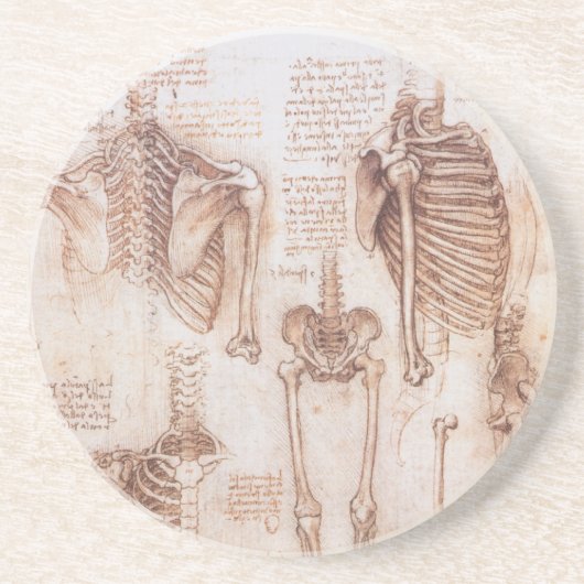 Human Anatomy Skeleton Bones by Leonardo da Vinci コースター (正面)