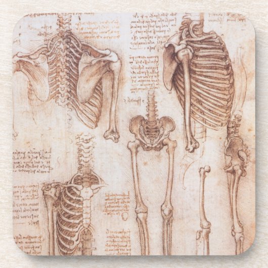 Human Anatomy Skeleton Bones by Leonardo da Vinci コースター (正面)