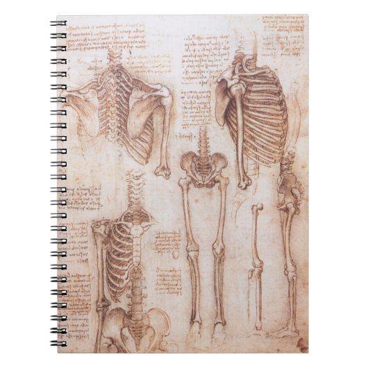 Human Anatomy Skeleton Bones by Leonardo da Vinci ノートブック (正面)