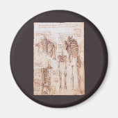 Human Anatomy Skeleton Bones by Leonardo da Vinci マグネット (正面)
