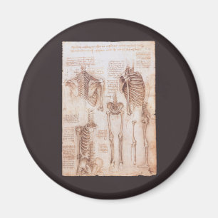 Human Anatomy Skeleton Bones by Leonardo da Vinci マグネット