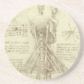 Human Anatomy Spinal Column by Leonardo da Vinci コースター (正面)