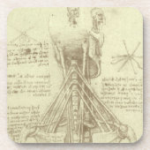 Human Anatomy Spinal Column by Leonardo da Vinci コースター (正面)