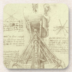 Human Anatomy Spinal Column by Leonardo da Vinci コースター