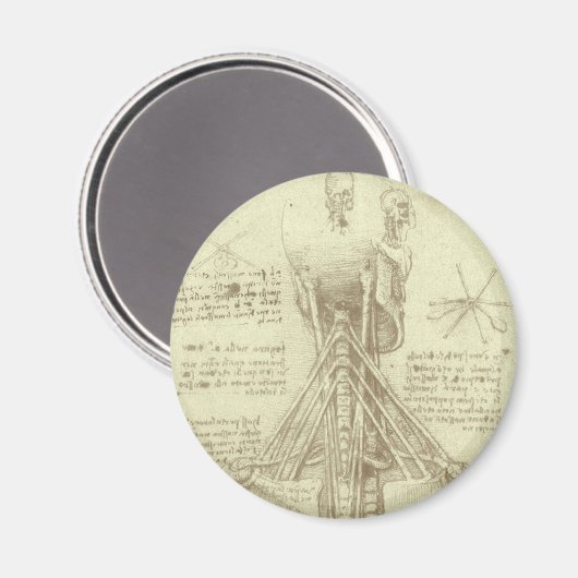Human Anatomy Spinal Column by Leonardo da Vinci マグネット (正面/裏面)