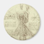 Human Anatomy Spinal Column by Leonardo da Vinci マグネット (正面)