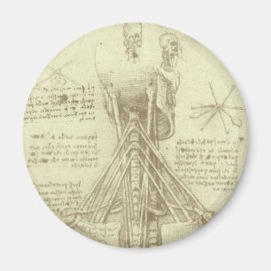 Human Anatomy Spinal Column by Leonardo da Vinci マグネット