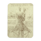 Human Anatomy Spinal Column by Leonardo da Vinci マグネット (縦)