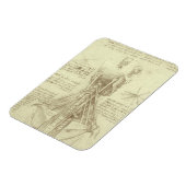 Human Anatomy Spinal Column by Leonardo da Vinci マグネット (左側)