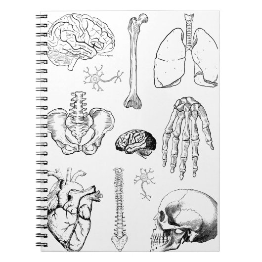 Human Anatomy Vintage Medical Illustration Set ノートブック (正面)