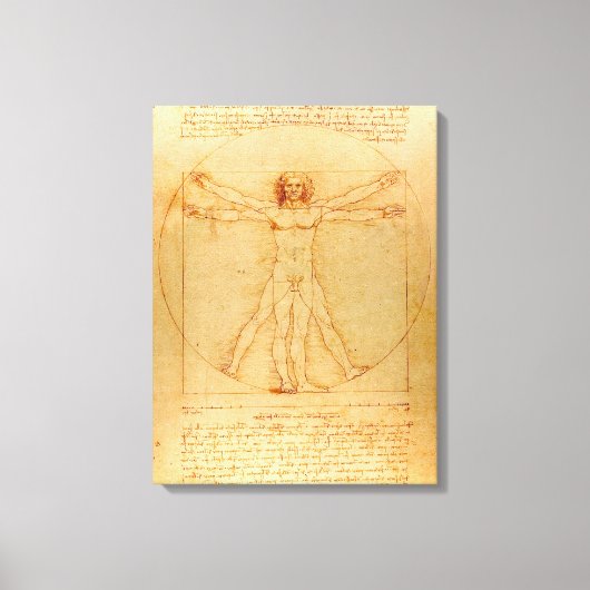 Human Anatomy, Vitruvian Man byレオナルド・ダ・ヴィンチ キャンバスプリント (正面)