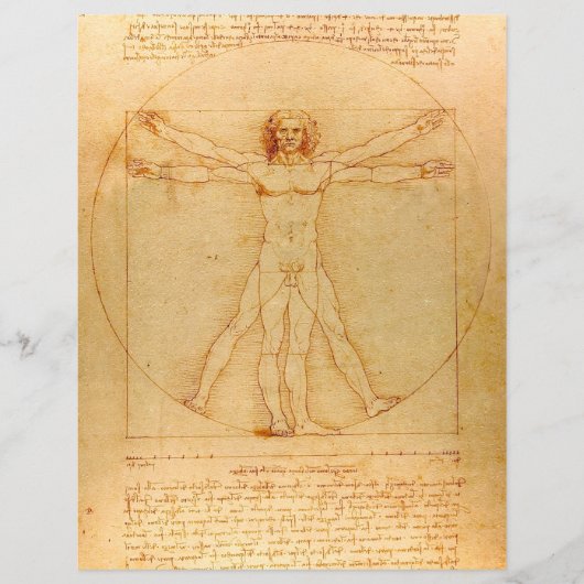 Human Anatomy, Vitruvian Man byレオナルド・ダ・ヴィンチ チラシ (正面)