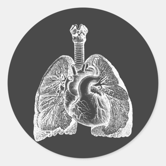 Human Biology Anatomy Heart Lungs Science Art   ラウンドシール (正面)
