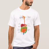 Human Body Digestive System Gastrointestinal Tract Tシャツ (正面)