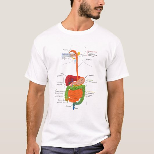 Human Body Digestive System Gastrointestinal Tract Tシャツ (正面)