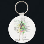 Human Male Skeleton key chain キーホルダー<br><div class="desc">A key chain with a human male skeleton with bones labeled</div>