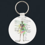 Human Male Skeleton key chain キーホルダー<br><div class="desc">A key chain with a human male skeleton with bones labeled</div>