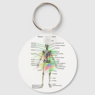 Human Male Skeleton key chain キーホルダー