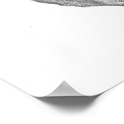 Human skull anatomy sketch drawing ポスター (角)