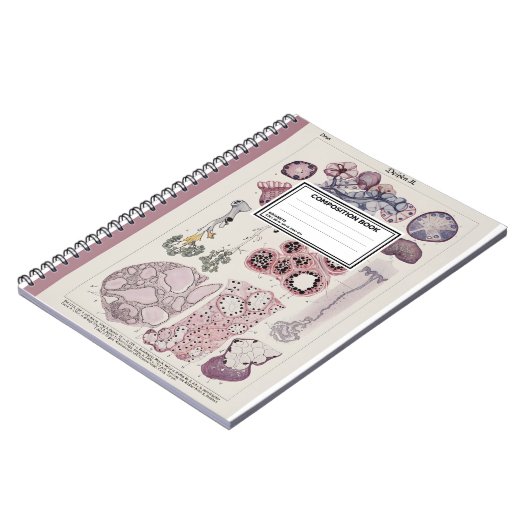 Human Tissue Histology Atlas Notebook ノートブック (左側)