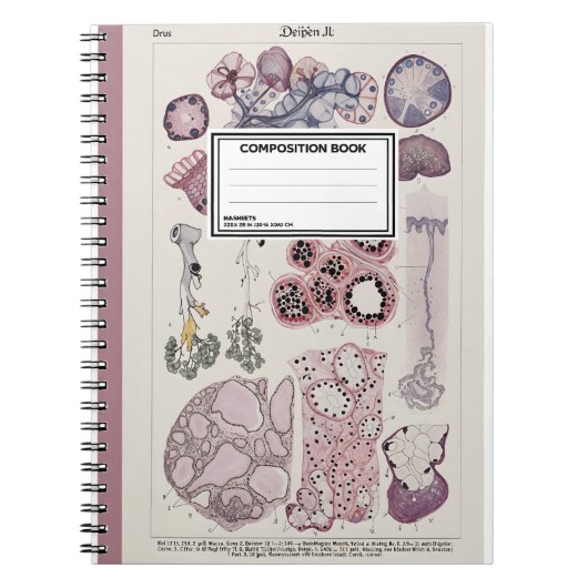 Human Tissue Histology Atlas Notebook ノートブック (正面)