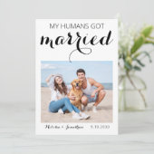 Humans 得 Dog結婚した Elopementの発表 セーブザデート (スタンド正面)