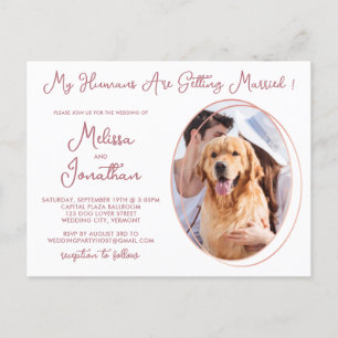 Humans Getting Married Pet Photoバラ金ゴールド インビテーションポストカード
