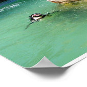 Humboldt penguins and fountains ポスター (角)