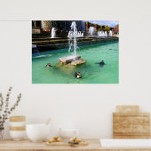 Humboldt penguins and fountains ポスター (キッチン)