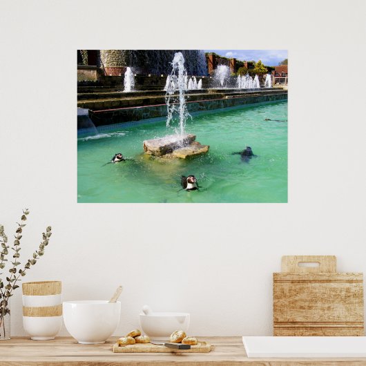 Humboldt penguins and fountains ポスター (キッチン)