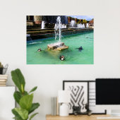 Humboldt penguins and fountains ポスター (ホームオフィス)