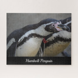 Humbolt Penguin at Drusillas Zoo in East Sussex ジグソーパズル