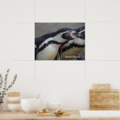 Humbolt Penguin at Drusillas Zoo in East Sussex ポスター (キッチン)