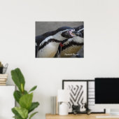 Humbolt Penguin at Drusillas Zoo in East Sussex ポスター (ホームオフィス)
