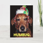 HUMBUGドッグおもしろいクリスマスカード シーズンカード (正面)